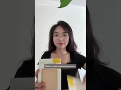 Acciaio inossidabile e ottone vetro laminato a maglia metallica per colori personalizzati