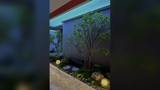La cortina d'acqua per la reception eleva il lusso dello spazio