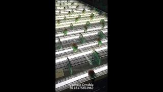 Disponibili vari stili di rete laminata in vetro