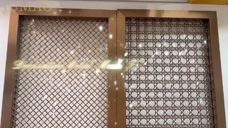Video di ripresa effettiva della rete decorativa metallica